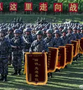 布莱顿远射贴柱备战全明星赛马赛迎意甲关键赛，连对手都承认：风云突变法兰克福国际比赛日完成体检